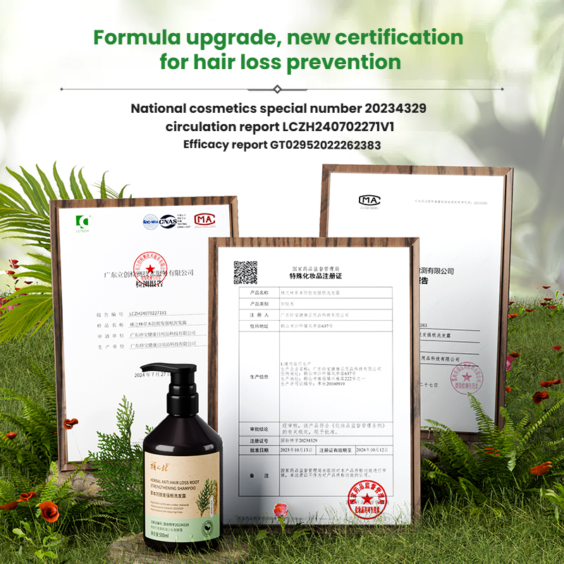 Buzhilin Herbal Anti-Hair Loss Strengthening Root Shampoo